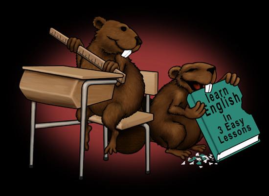 <img:stuff/D%3AArtwork2graphics%20filesswedishbeavers.jpg>