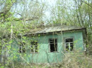 <img300*0:stuff/z/1/Chernobyl2008/p1010039.jpg>