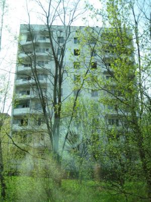 <img300*0:stuff/z/1/Chernobyl2008Agata/tn_IMG_0417.jpg>