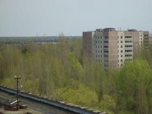<img300*0:stuff/z/1/Chernobyl2008Mateusz/tn_S6303824.JPG>