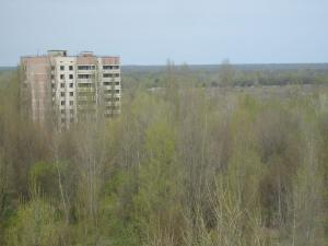 <img300*0:stuff/z/1/Chernobyl2008Mateusz/tn_S6303825.JPG>