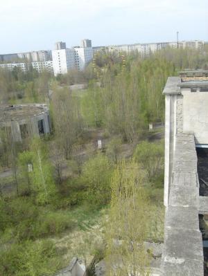 <imgl300*0:stuff/z/1/Chernobyl2008Mateusz/tn_S6303840.JPG>