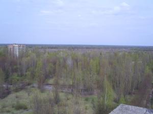 <img300*0:stuff/z/1/Chernobyl2008Moje/S4031443.JPG>