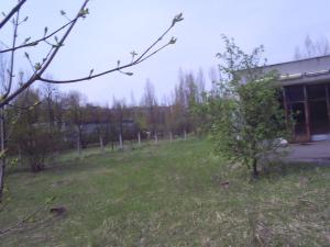 <img300*0:stuff/z/1/Chernobyl2008Moje/S4031466.JPG>