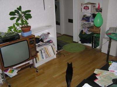 <img0*300:stuff/z/1/cats%2520and%2520more/p1010003.jpg>